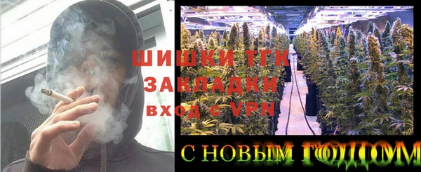 прущие крисы Белокуриха