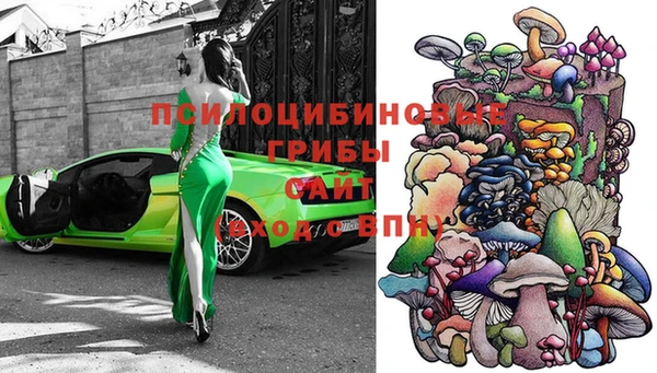 mdpv Беломорск