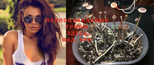 дурь Покровск