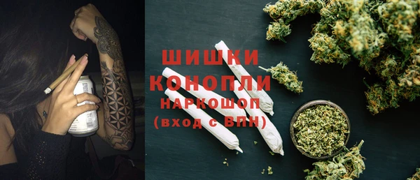 прущие крисы Белокуриха