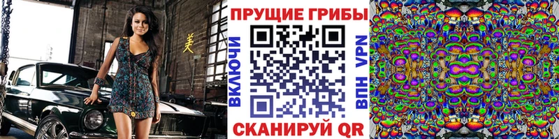 кракен ТОР Шимановск Галлюциногенные грибы мицелий